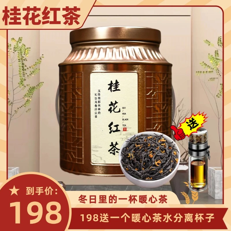 桂花红茶新茶茶叶高端桂花茶试喝好茶高山小种浓香型罐装自饮