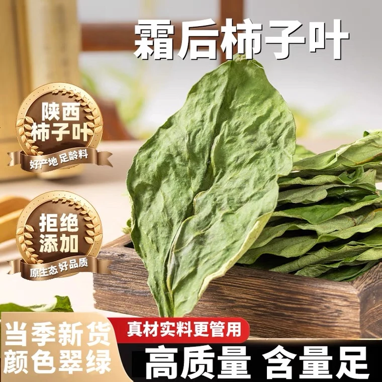 柿子叶中药材新货正品市子叶子霜柿叶柿树叶包邮霜后柿叶茶泡水喝