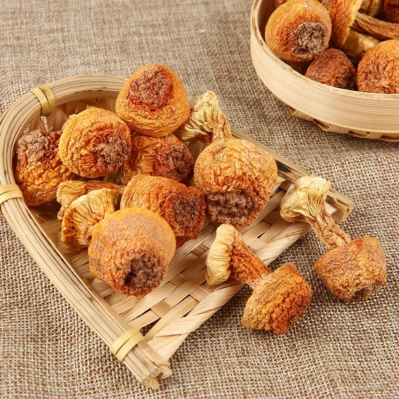长白山 姬松茸 500克