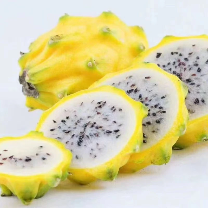 【顺丰包邮礼盒装】西双版纳燕窝果麒麟果清甜黄金火龙果新鲜采摘