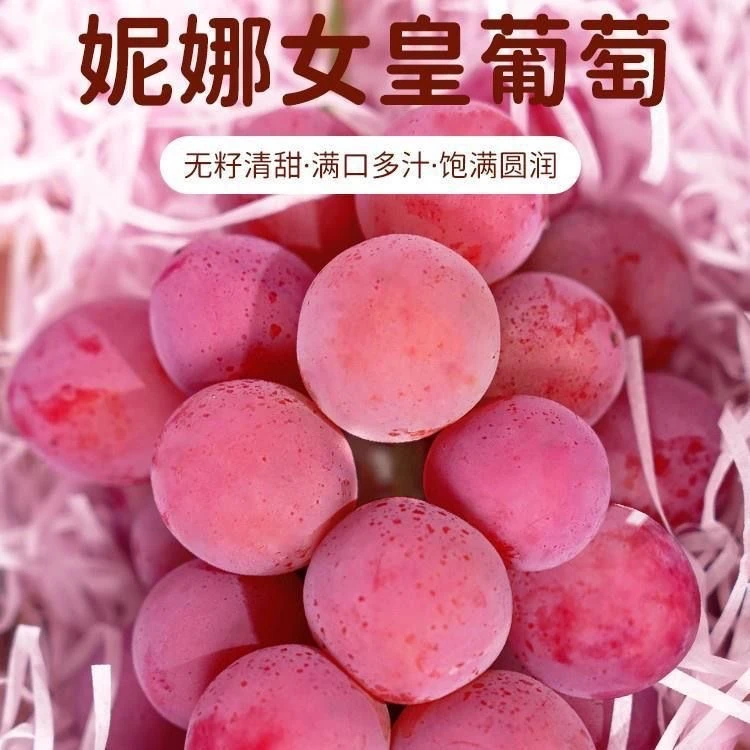 妮娜皇后葡萄新鲜妮娜公主无籽提子红酒味葡萄自然上色【顺丰包邮】