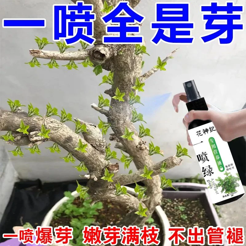 爆芽】老桩一喷绿爆芽素液体促芽僵苗快速发新芽防黄叶营养液