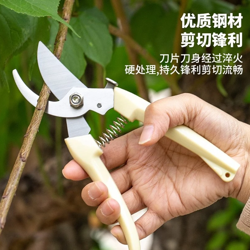 园艺剪园林剪修枝剪刀拍3送一弯头花园剪刀摘果剪园林工具剪