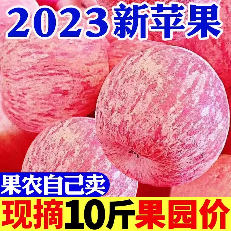 【产地现发】陕西正宗冰糖心红富士洛川苹果脆甜多汁特级孕妇水果