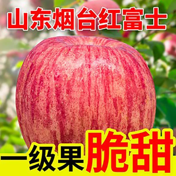 正宗烟台红富士苹果水果 新鲜当季冰糖心一级脆甜2/5/10斤香脆