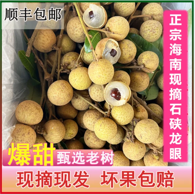 正宗海南新鲜石硖龙眼桂圆现摘现发鲜甜顺丰冷链包邮储良