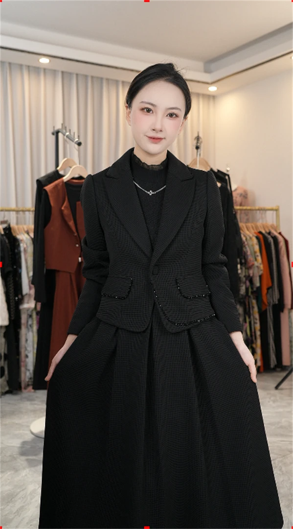 Z8093两件套连衣裙  2024年秋季新款时尚气质显瘦女装连衣裙