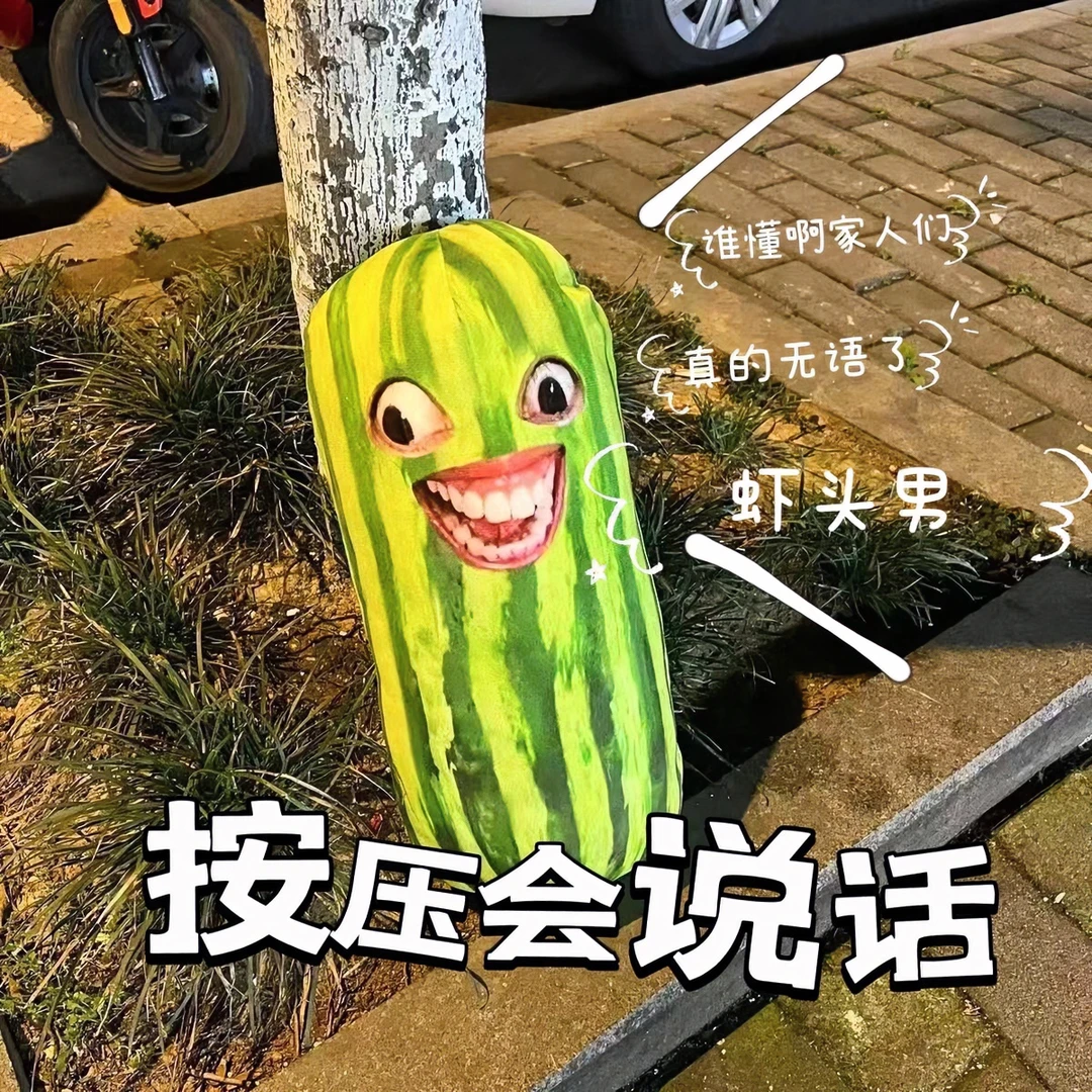 【2元清仓】西瓜条家人们谁懂啊语音挂件无语死了搞笑搞怪玩具挂件
