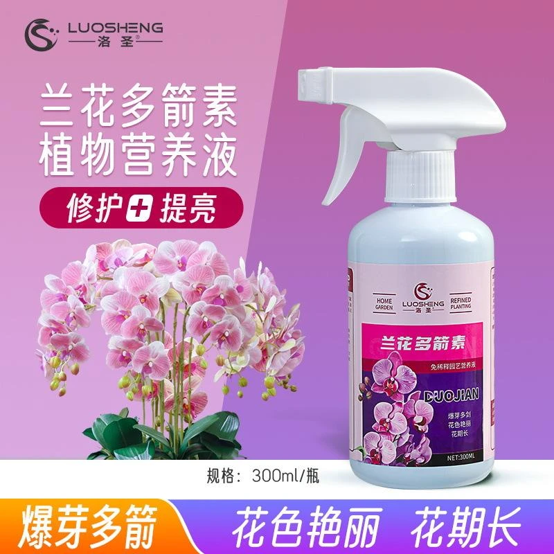 兰花多箭素园艺营养液爆芽多箭花色艳丽花期长多箭促花叶片增绿