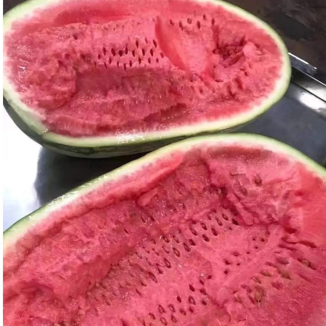 【宁夏】压砂西瓜一个约17-18斤