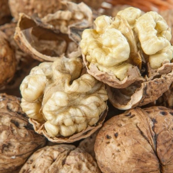 2024年高山老树核桃皮薄肉厚香味浓郁