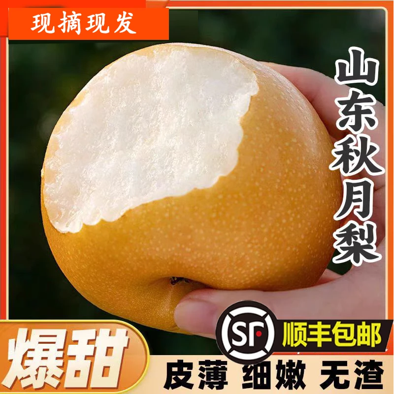 顺丰包邮【秋月梨】好吃山东烟台莱阳秋月梨当季是现摘新鲜脆甜产地