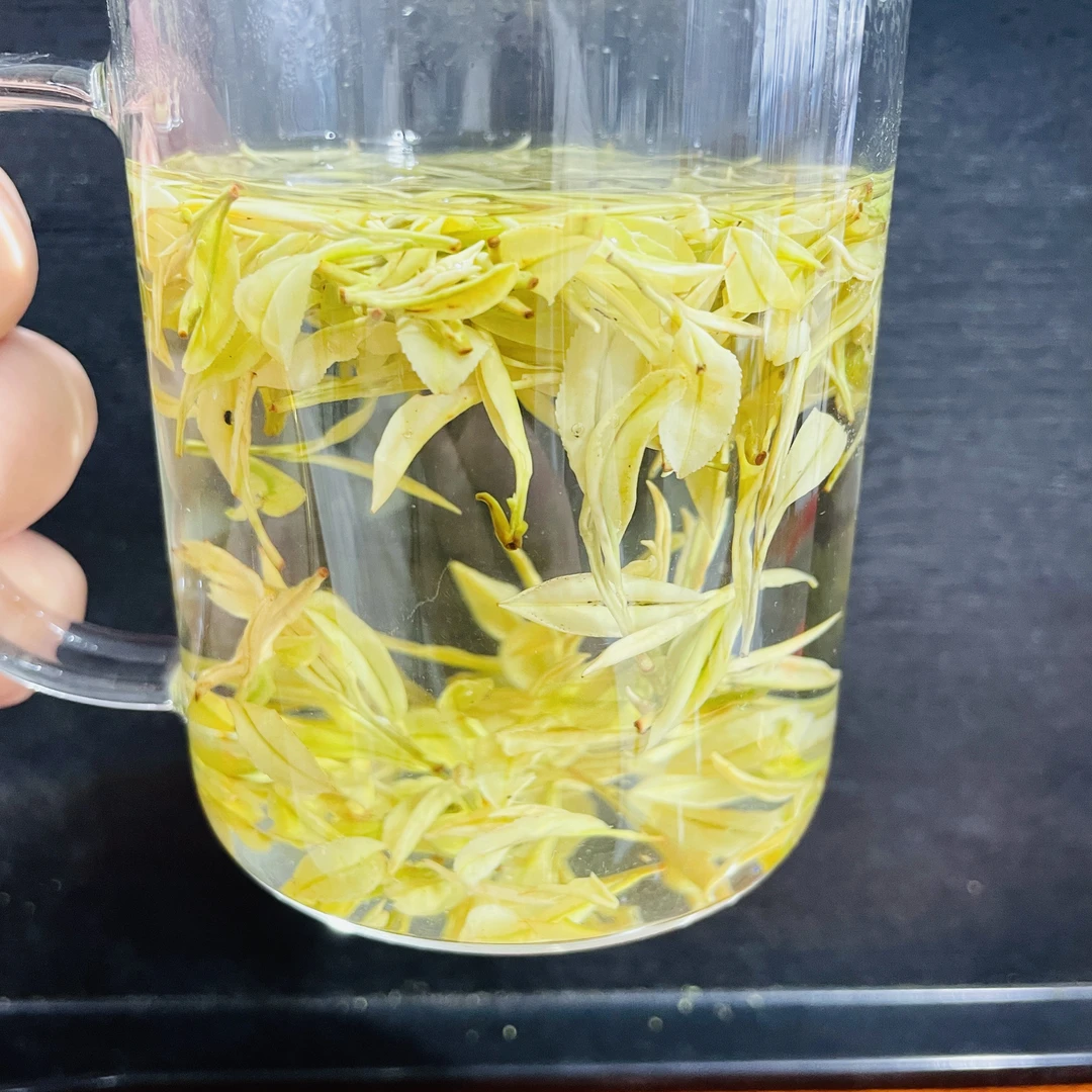 2025新茶开园奶香皇金芽正宗安吉原产地250g/500g