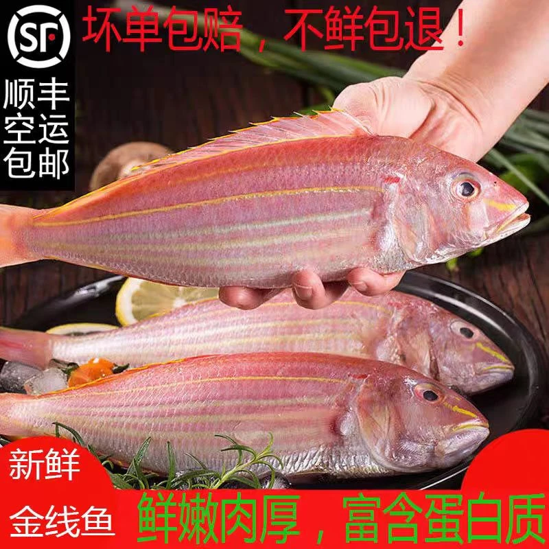 鲜活现杀速冻金线鱼去头去内脏没有碎刺杂刺每包500克到手5包5斤