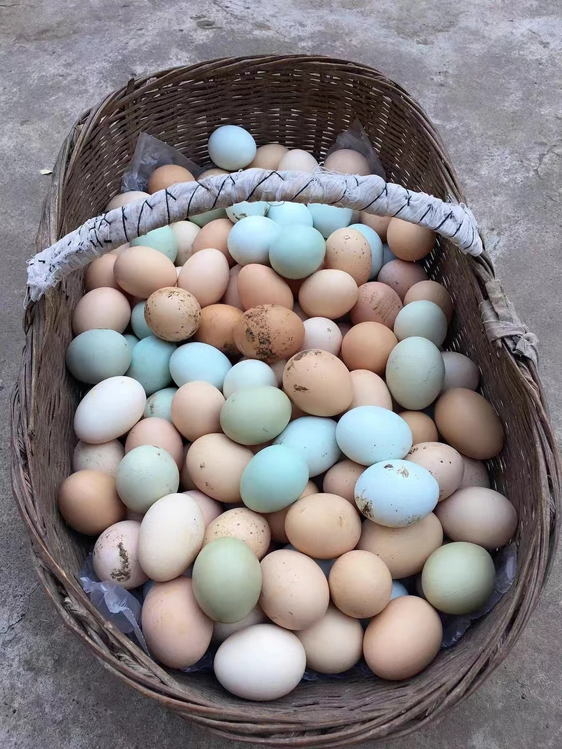 辽宁西丰1500克包邮