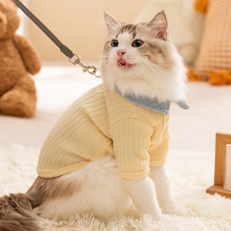 小猫咪衣服可爱拼色打底衫幼猫小型犬秋冬季两脚衣小狗狗衣服6032