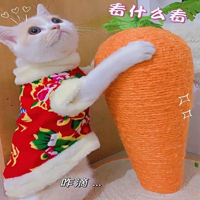 猫咪衣服冬季喜庆东北棉袄宠物布偶猫银渐层蓝猫冬天棉衣网红加厚