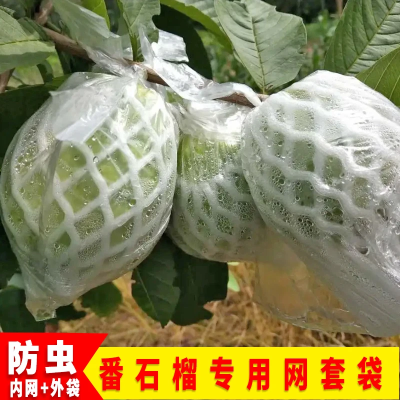 番石榴套袋网袋芭乐防虫网袋专用一体泡沫包装袋石榴袋水果网套