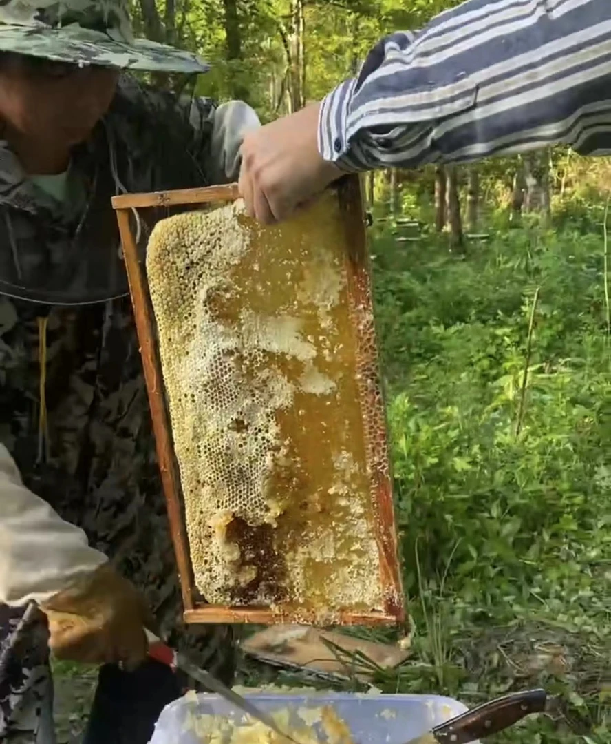 【包邮】莲花正宗山货土特产