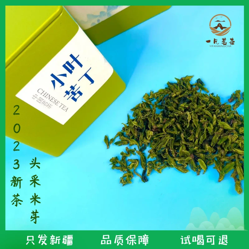 头采米芽小叶苦丁  峨眉高山 新茶（青山绿水）茶叶试喝