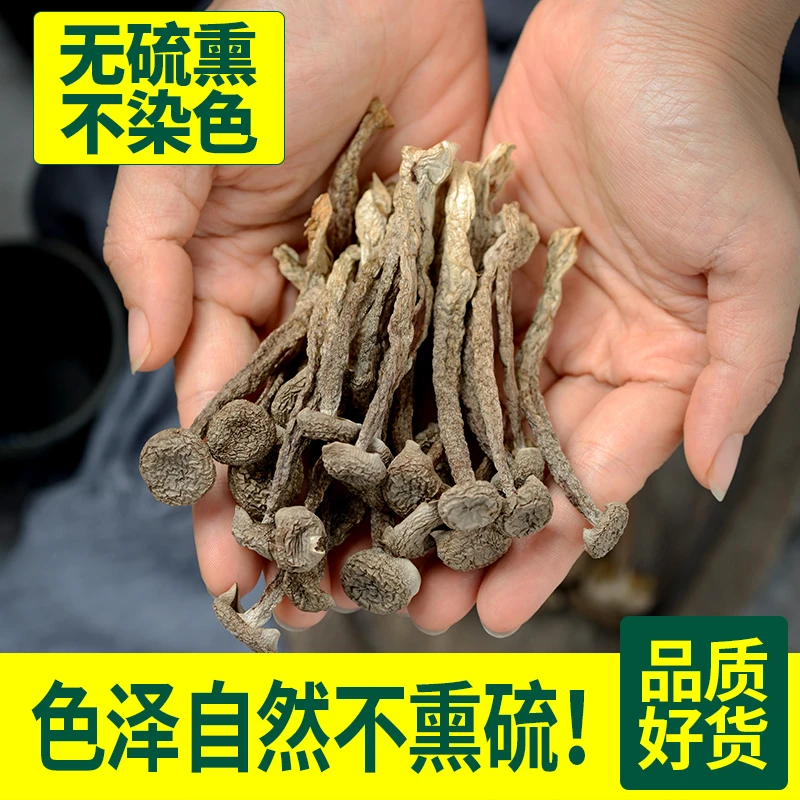 古田鹿茸菇干货菌菇批发产地直发煲汤爆炒干锅鹿茸菇