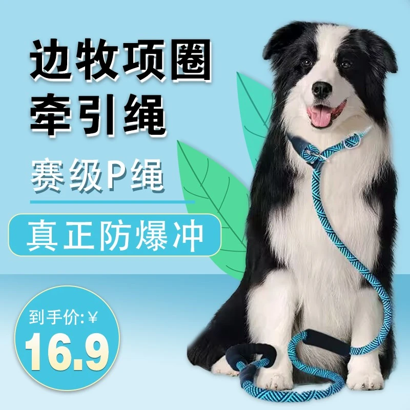 边牧狗狗专用牵引绳防爆冲p绳套脖子遛狗绳子p链幼犬边牧犬狗链