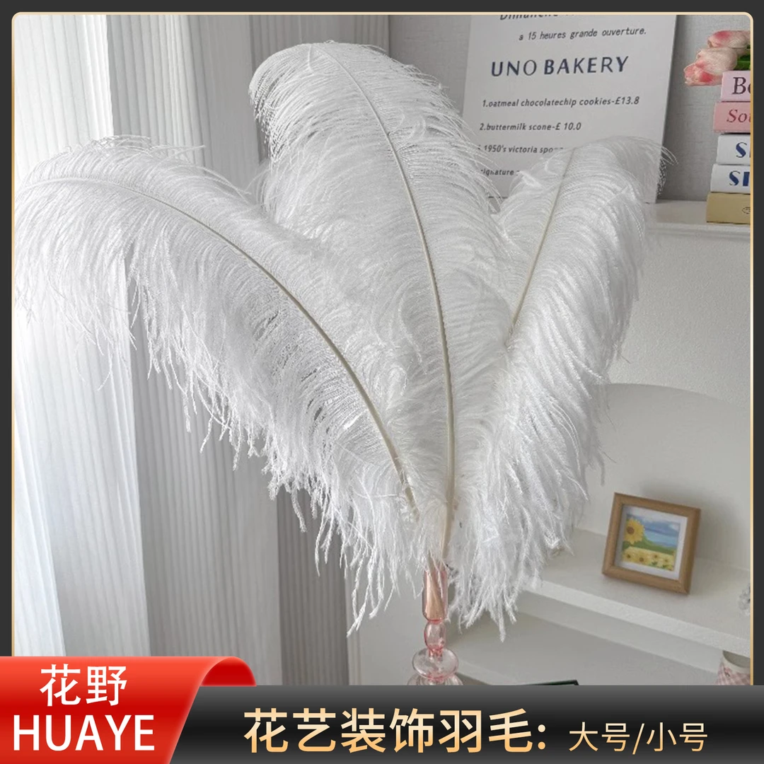 花野 白色羽毛鸵鸟毛网红鲜花花束搭配花艺装饰DIY材料