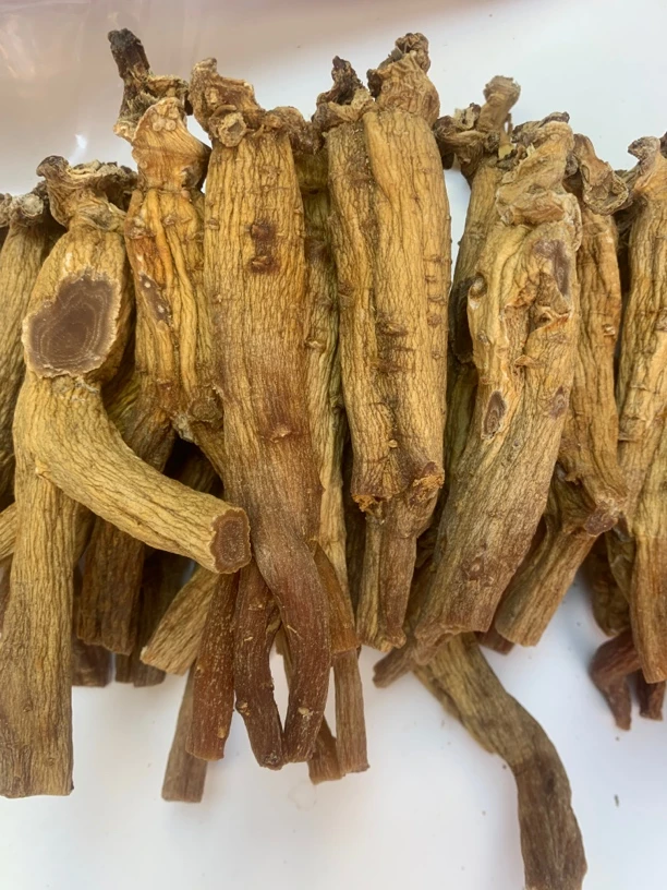 【高丽参】10支一斤靓仔货        桃胶