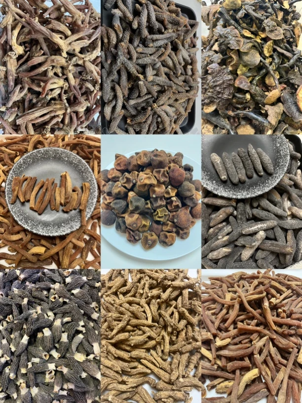 【宽少精选】路巴巴40克 桃胶