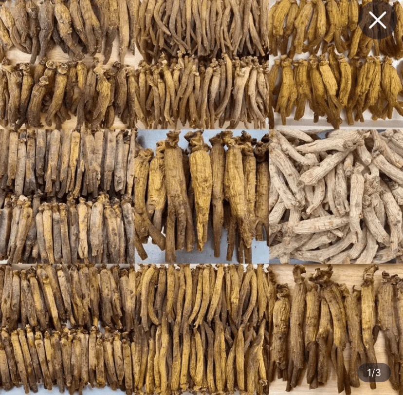 【肉虫容】靓货       桃胶