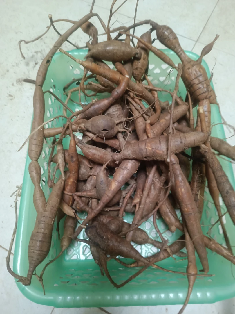 现挖山货小叶甘牛统货现称现卖