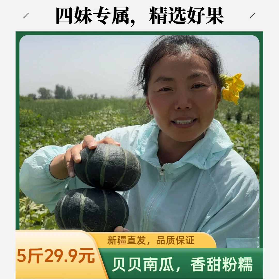 【四妹专属】新疆沙漠露天种植贝贝南瓜彩箱粉糯香甜新疆直发5斤