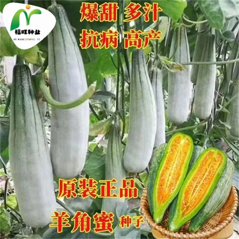 【全店满5元包邮】羊角蜜甜瓜种羊角蜜香瓜籽羊角酥甜瓜种薄皮四季