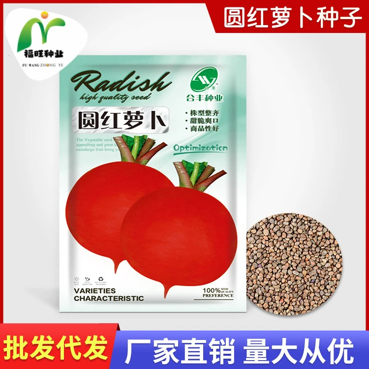 【全店满5元包邮】圆红萝卜种子水果红萝卜特大红皮白心樱桃萝卜红