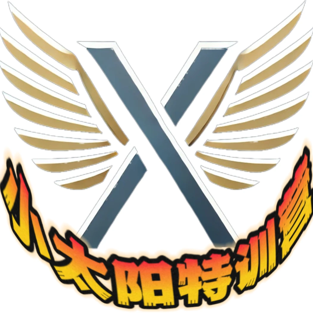 乂丫小太阳特训营【定制】友情提示 与融资无关 仅为学习资本思维