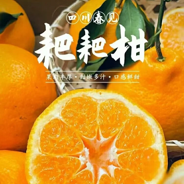 四川正宗耙耙柑皮薄爆汁鲜甜多汁多规格春见