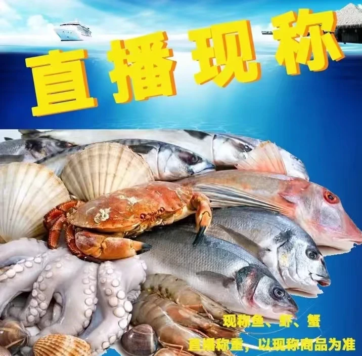 【土龙】福建海捕野生海鲜精选鱼虾蟹品质保鲜