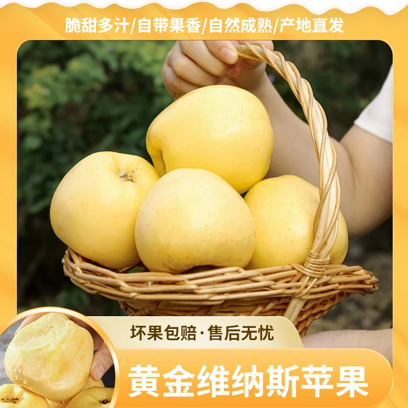 山东正宗黄金维纳斯苹果4.5斤彩箱装脆甜多汁自带风味