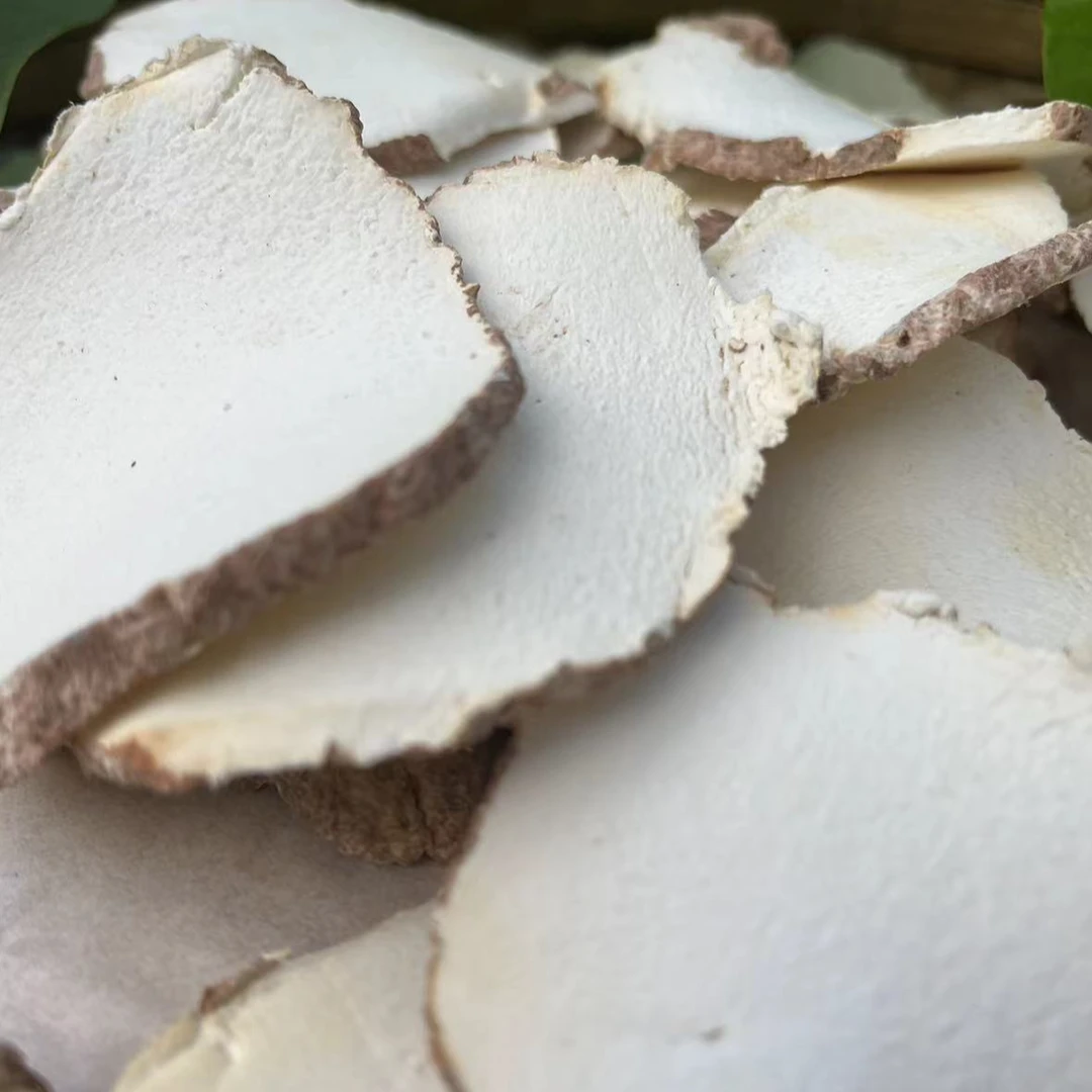 【阿海精选】土特产虎乳菌