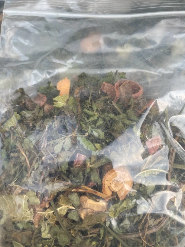 【阿海精选】降压三宝茶