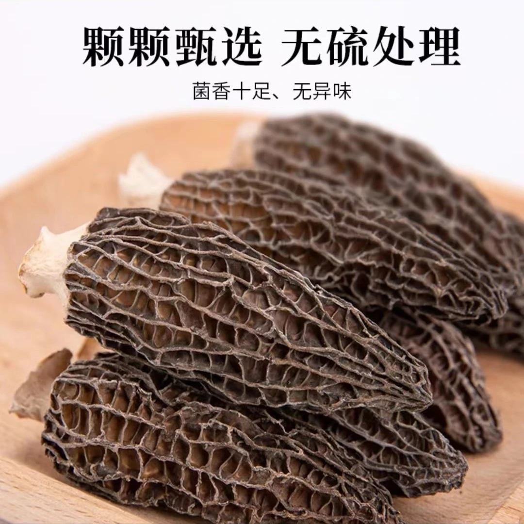 【阿海精选】 羊肚-菌