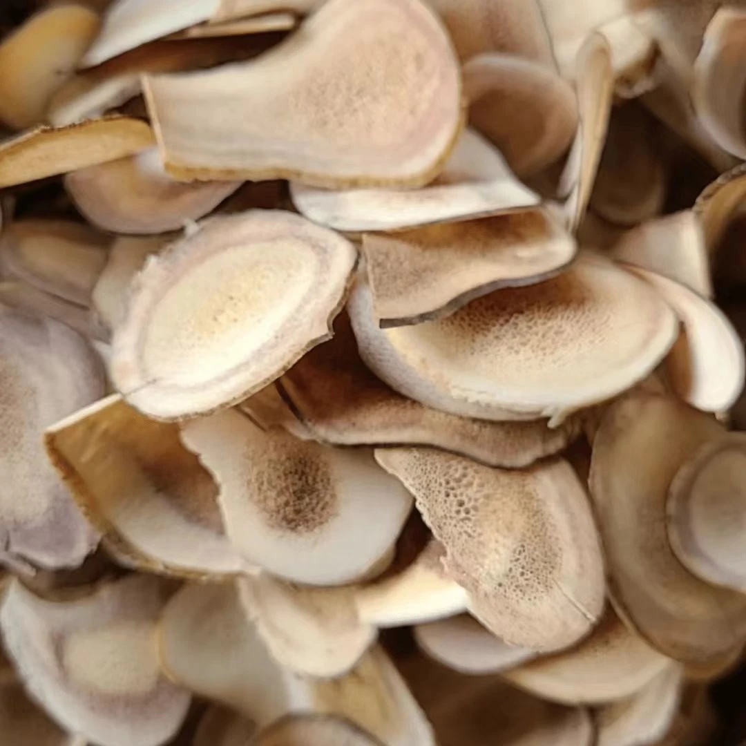 【阿海精选】土特产麓容片