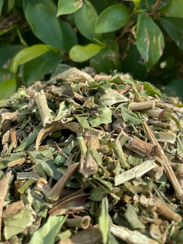 【阿海精选】清肺草山货