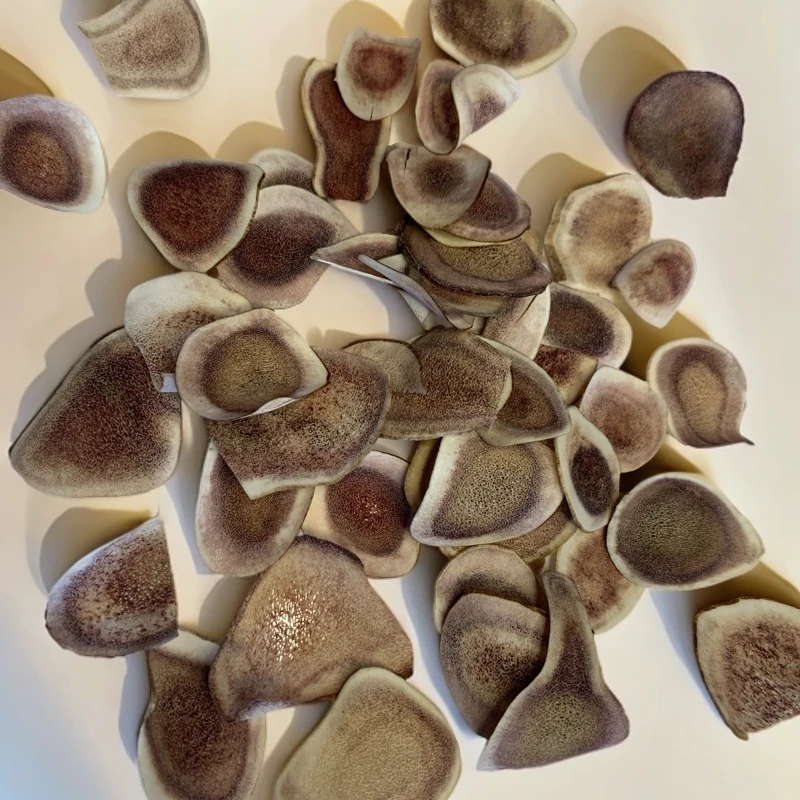 东北鹿茸 鹿角片 骨质片 泡酒泡水煲汤打粉