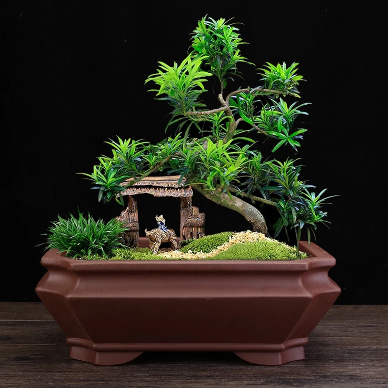 宜兴紫砂花盆手工经典制作高四方大号马槽长方阳台悬崖松柏盆景盆