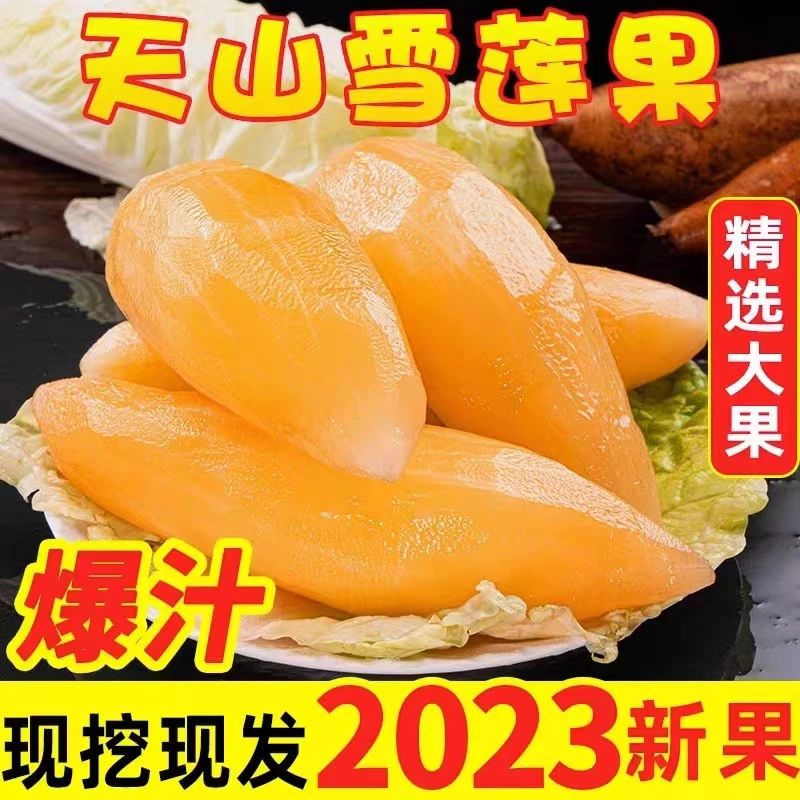 云南高山天山雪莲果脆甜新鲜多汁整箱特级正宗当季黄心清甜雪莲果