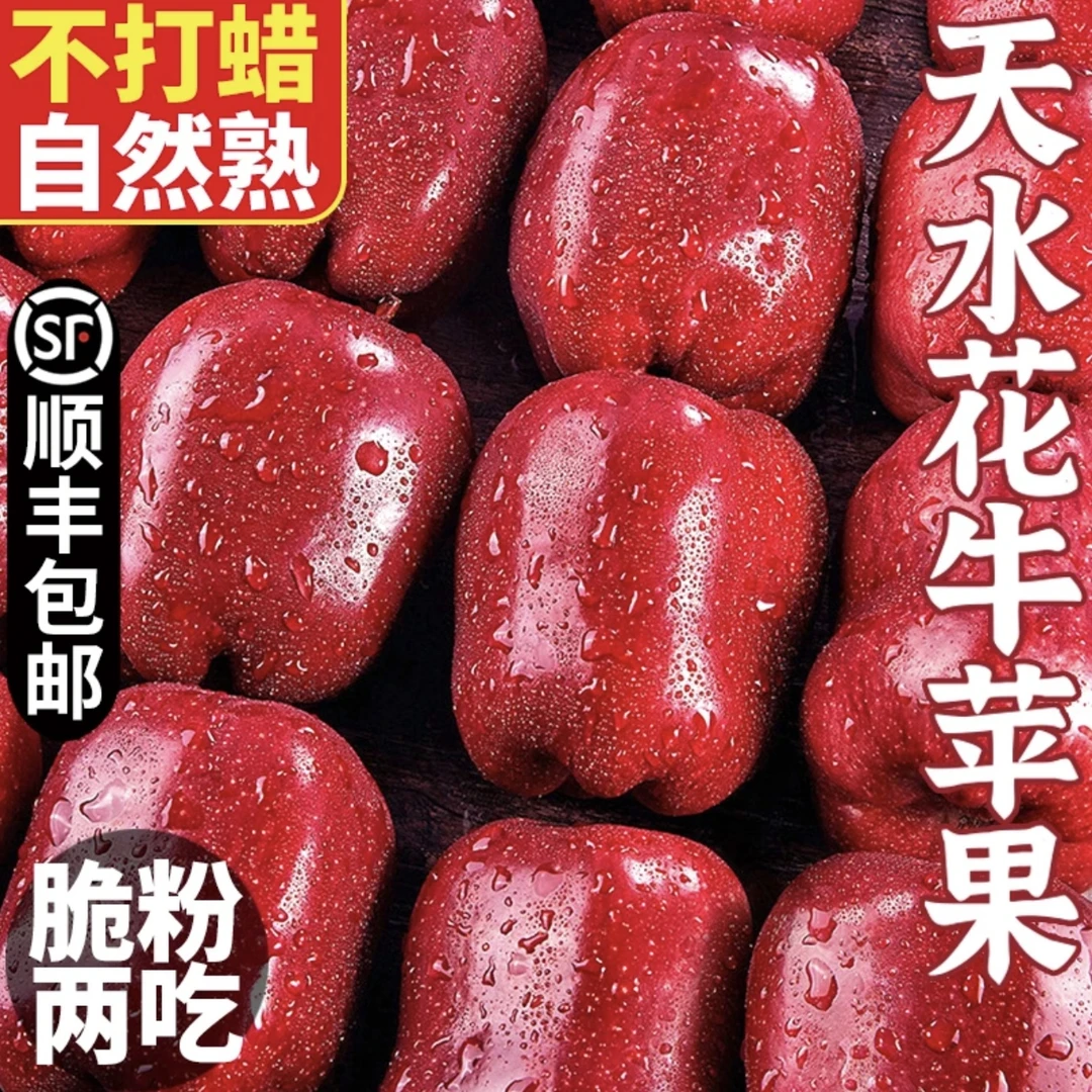 【花牛苹果】【顺丰包邮】正宗甘肃天水特产 新鲜采摘【脆粉两吃】