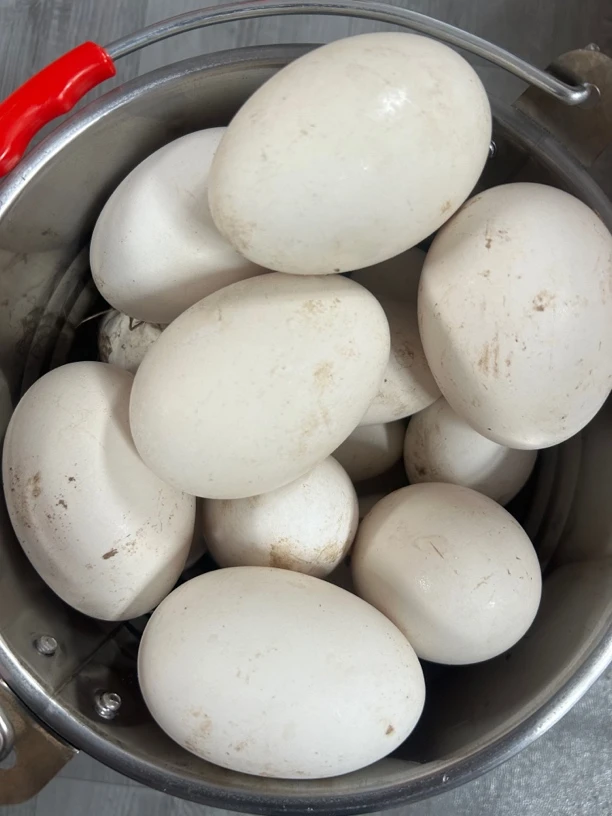 （顺丰包邮）农户 自家散养 鹅蛋 （有大有小）12枚顺丰包邮