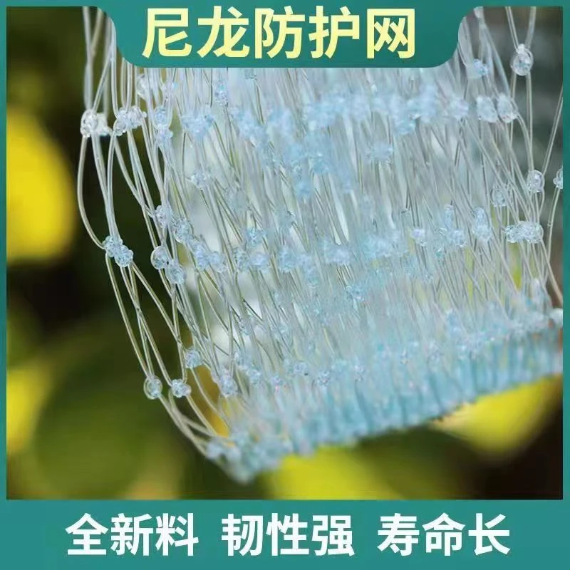 防鸟网尼龙大棚果树樱桃葡萄梨树果园防鸟用网泥鳅养殖网鱼塘天网
