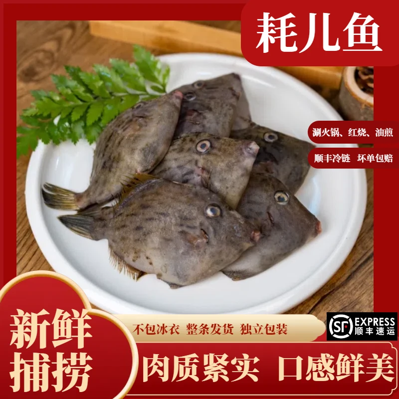 【去下巴去肚子带皮】新鲜渔山岛剥皮鱼圆迪净重4斤